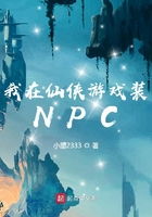 我在仙侠游戏装NPC